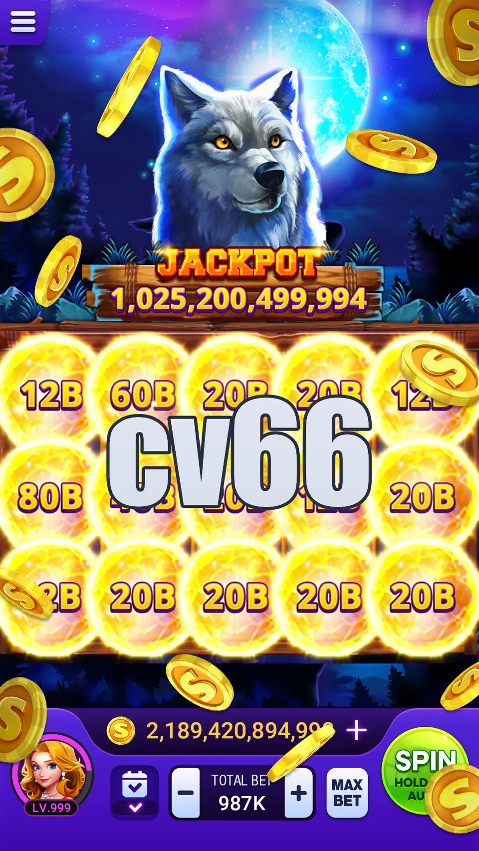 cv66 APK